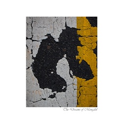 dailyPhoto37